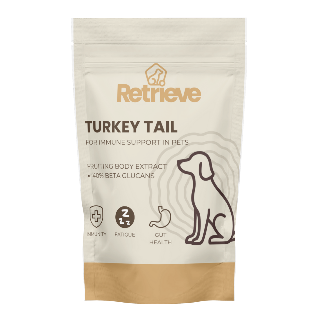 Turkey Tail Mushroom Extract for Pets